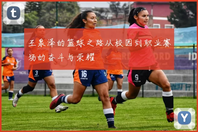 王泉泽的篮球之路从校园到职业赛场的奋斗与荣耀