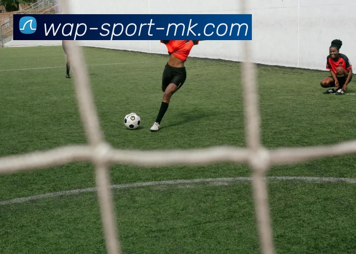 MK体育品牌故事