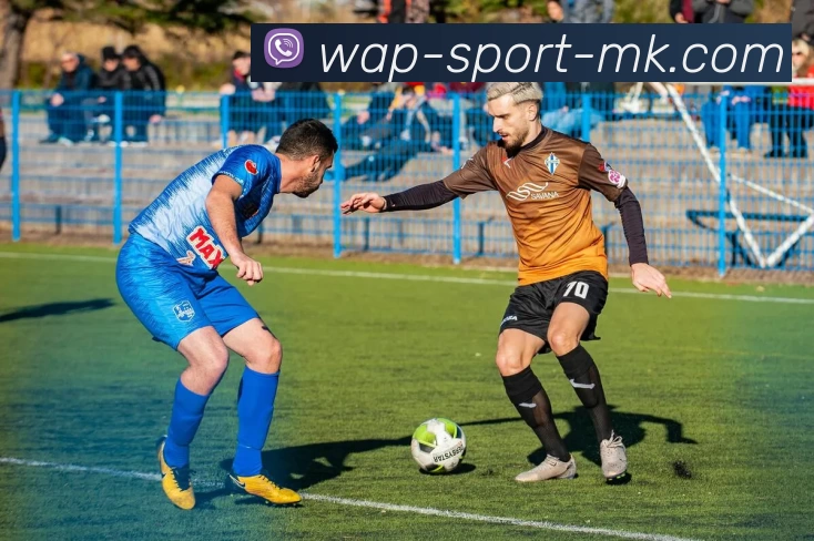 MK体育服务体系