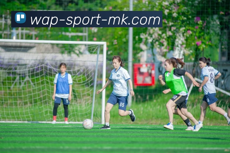 MK体育APP 体育赛事宣传图